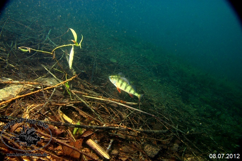 TG377-Sundhaeuser See 2012-07-08-011 (15)